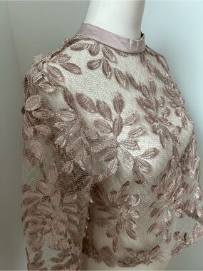 💗 Beulah Sheer Embroidered Long-Sleeve Dress Top in Blush